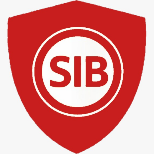 SIB Softwaregutachten